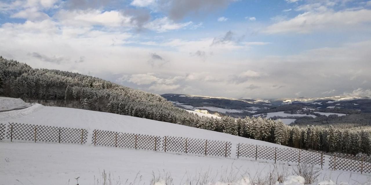 Bed and Breakfast Wald-Panorama-Zimmer Мёнихкирхен Экстерьер фото