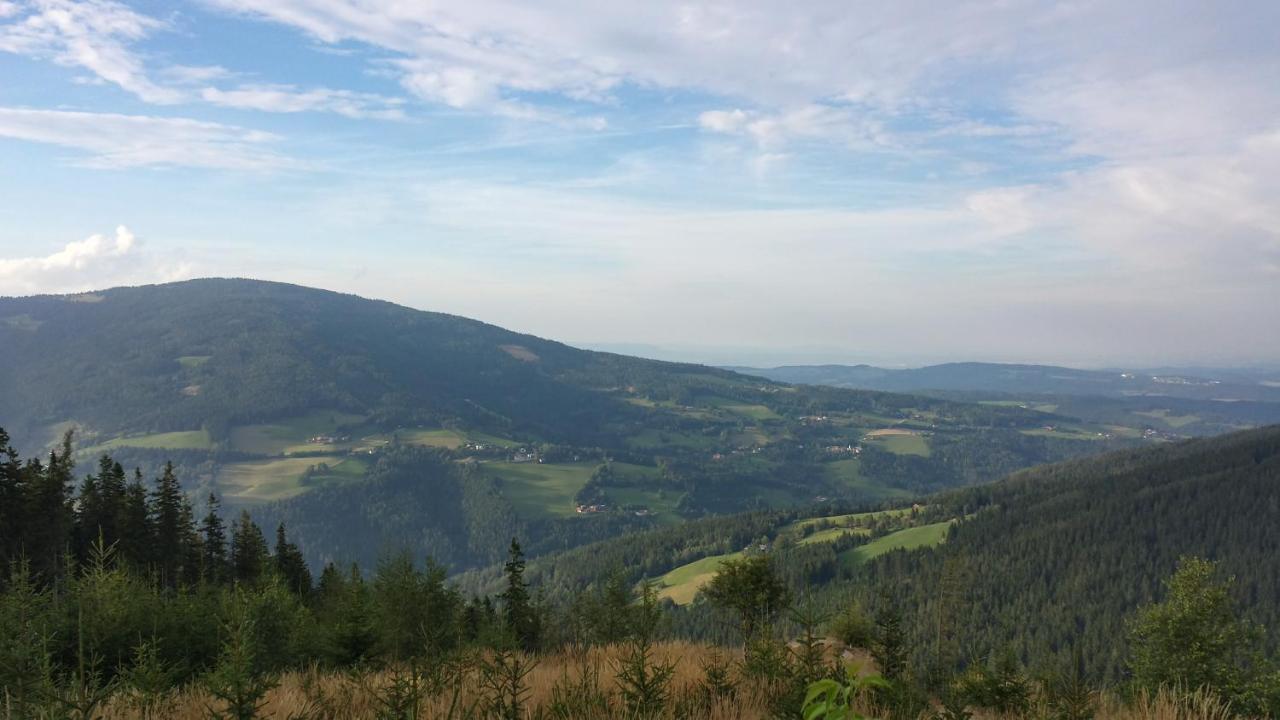 Bed and Breakfast Wald-Panorama-Zimmer Мёнихкирхен Экстерьер фото